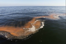 Ropná skvrna v zálivu Chandeleur v Louisianě.